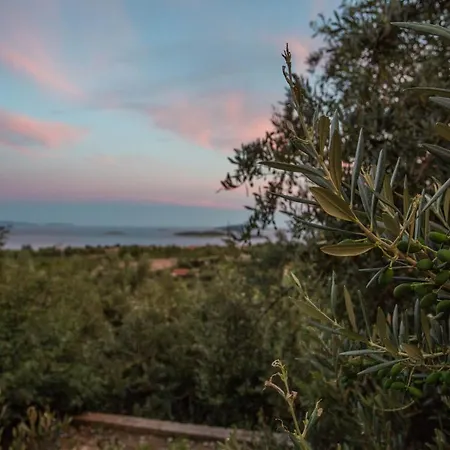 Secluded Luxury With Sea View And Pool Orebic
